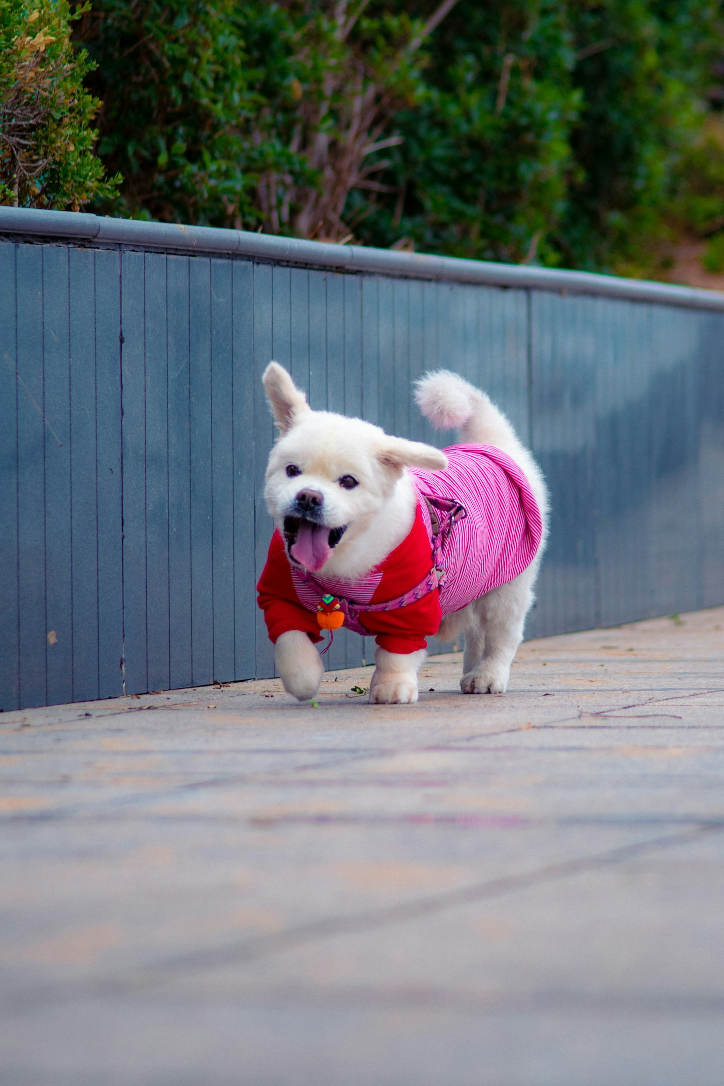 Top Ten Trends For Spring Walks